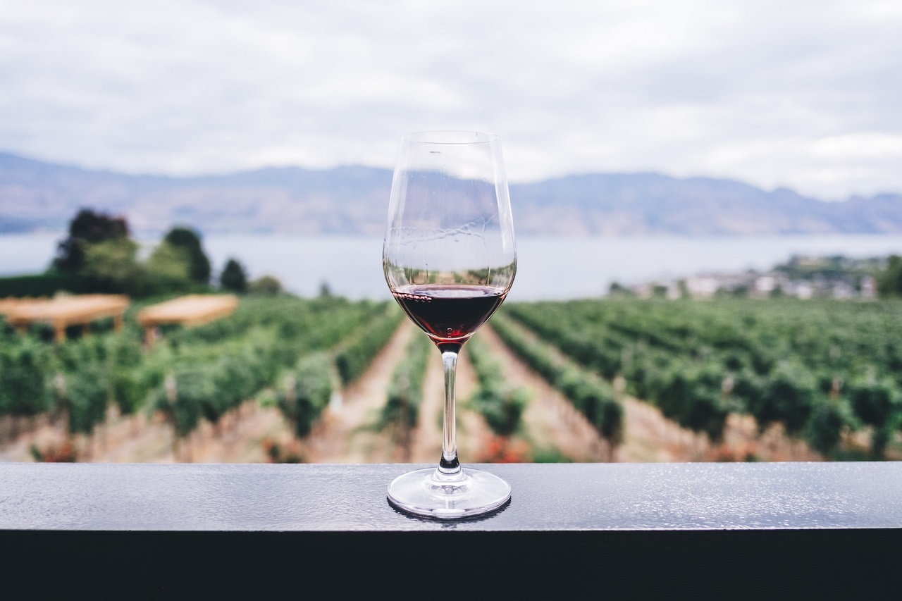Wino naturalne – czym jest i jak jest ono pozyskiwane?